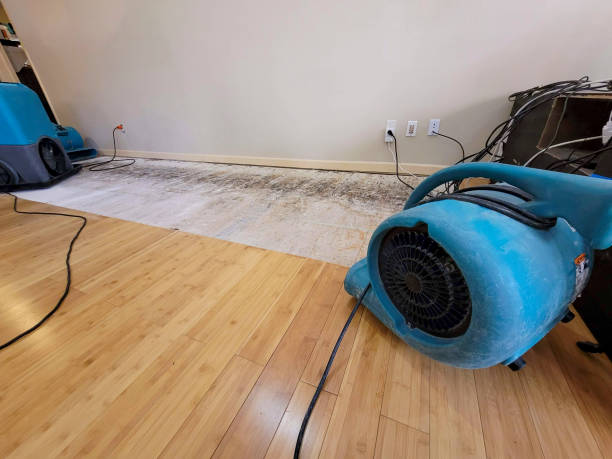 Professional Ceiling Water Damage Repair technician working in Forestburg, TX
